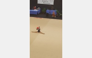 5672bb0c036e3_CZONE2015162.jpg