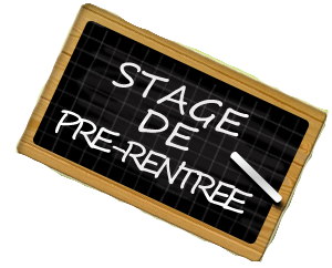 Stage reprise rentrée - GYM NON INDIV - Saison 2027