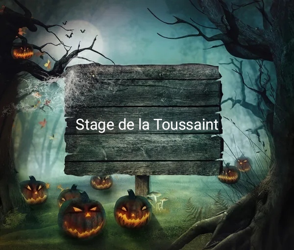 Stage LOISIRS de la TOUSSAINT 2026