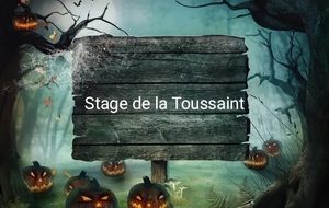 Stage LOISIRS de la TOUSSAINT 2025