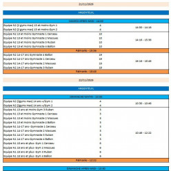 Championnat Interdepartemental des équipes FED N1/N2